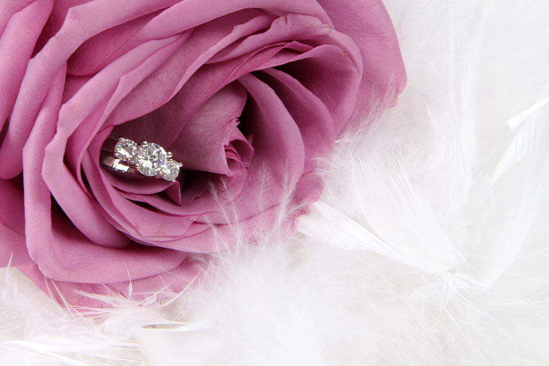 The Proposal Events - Proposals