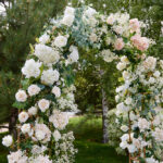 The Proposal Events - Wedding Styles, Garden